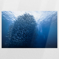 PO-030W020