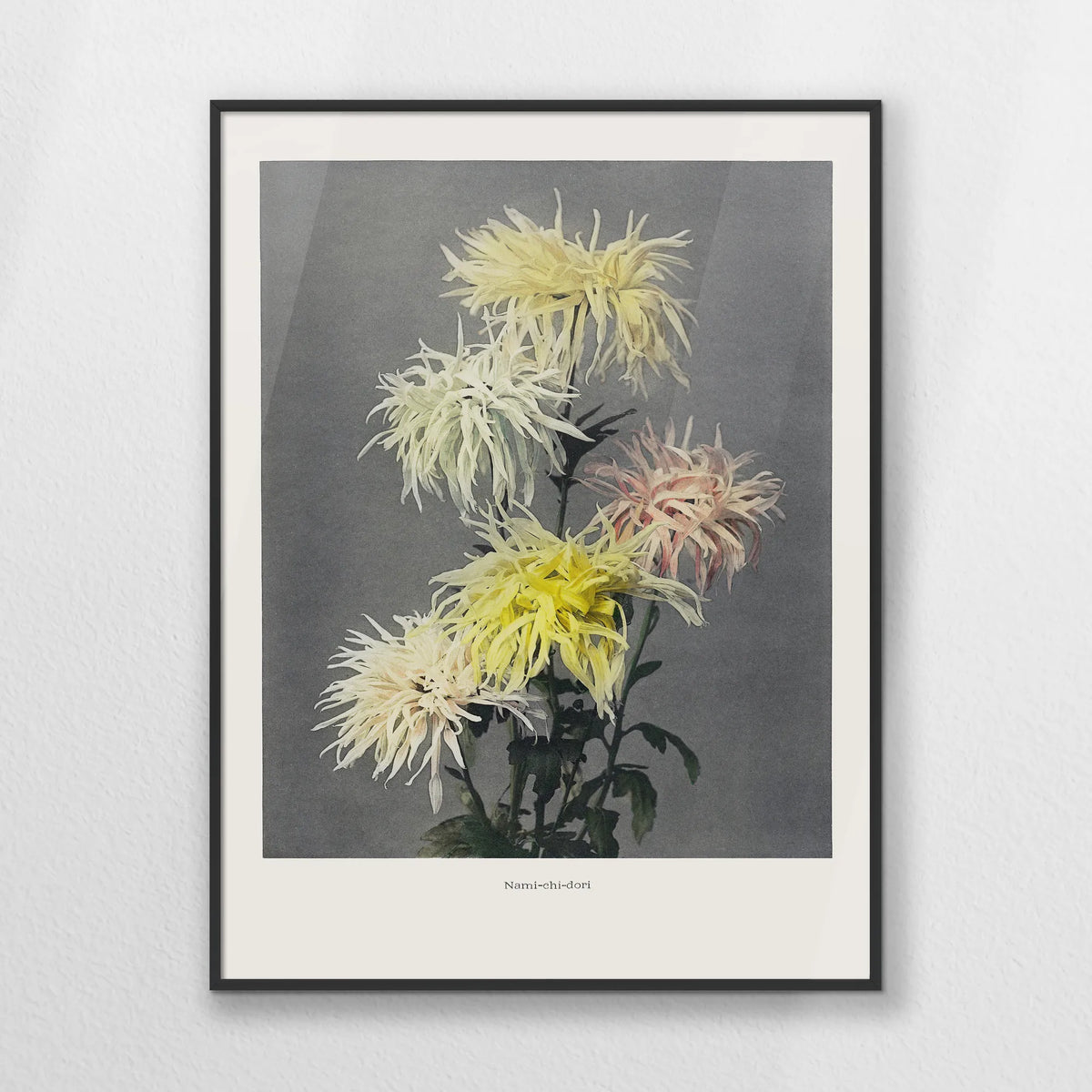 PB-050W070