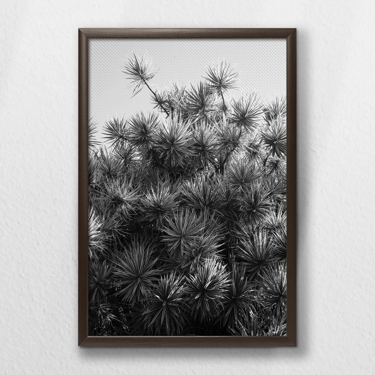 LWN040W060