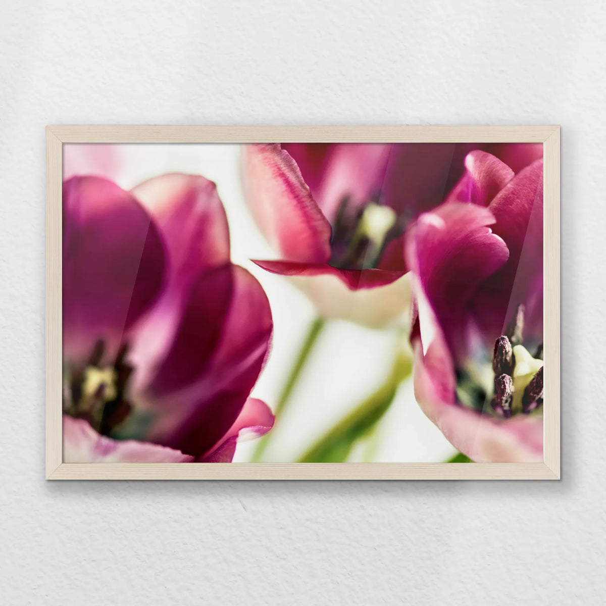 PN-060W040