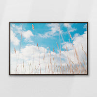 LWN120W080