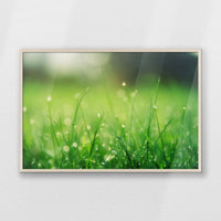 PN-100W070