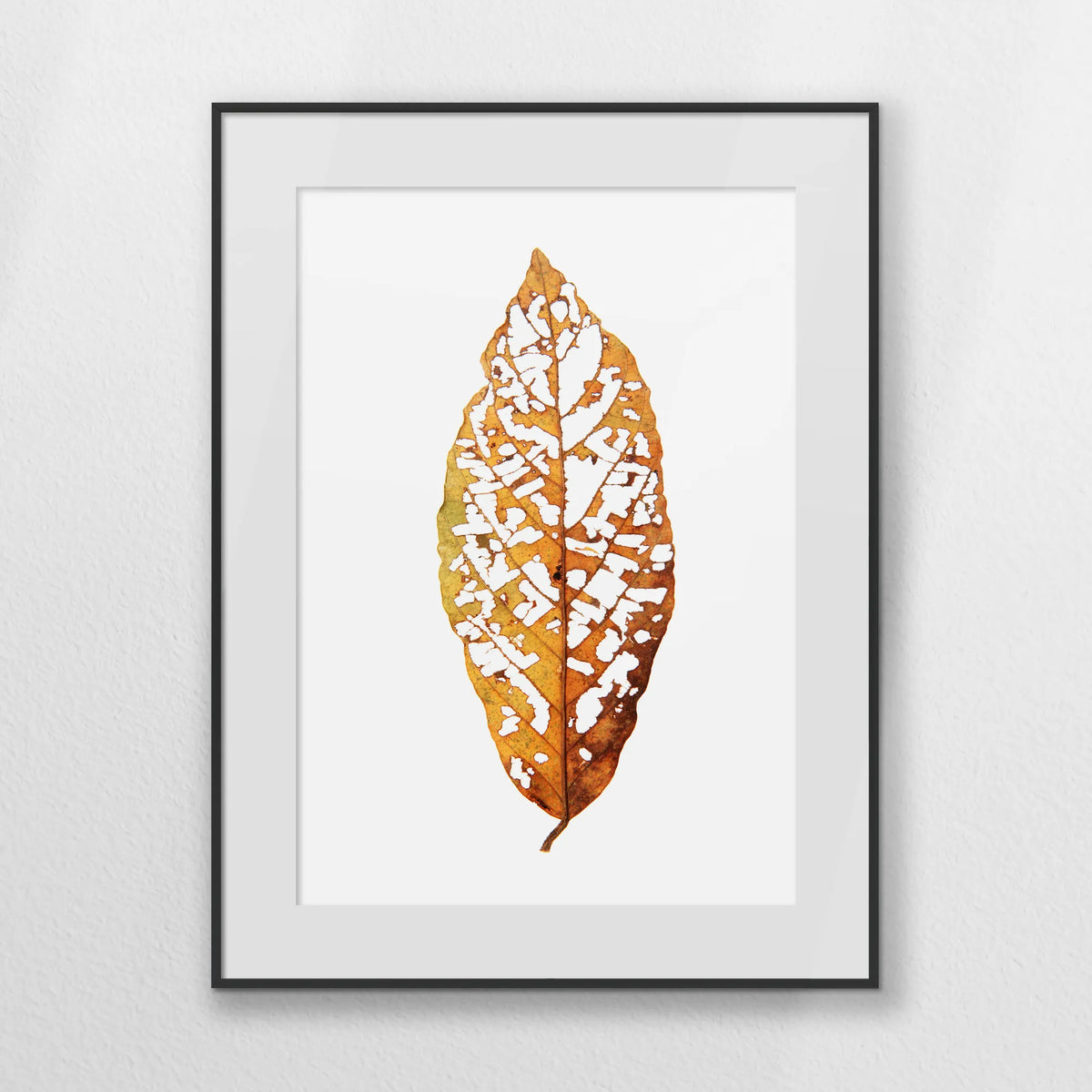 PBP060W080