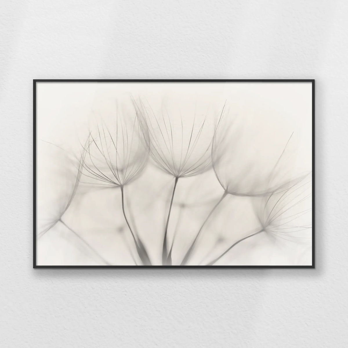 PB-093W062