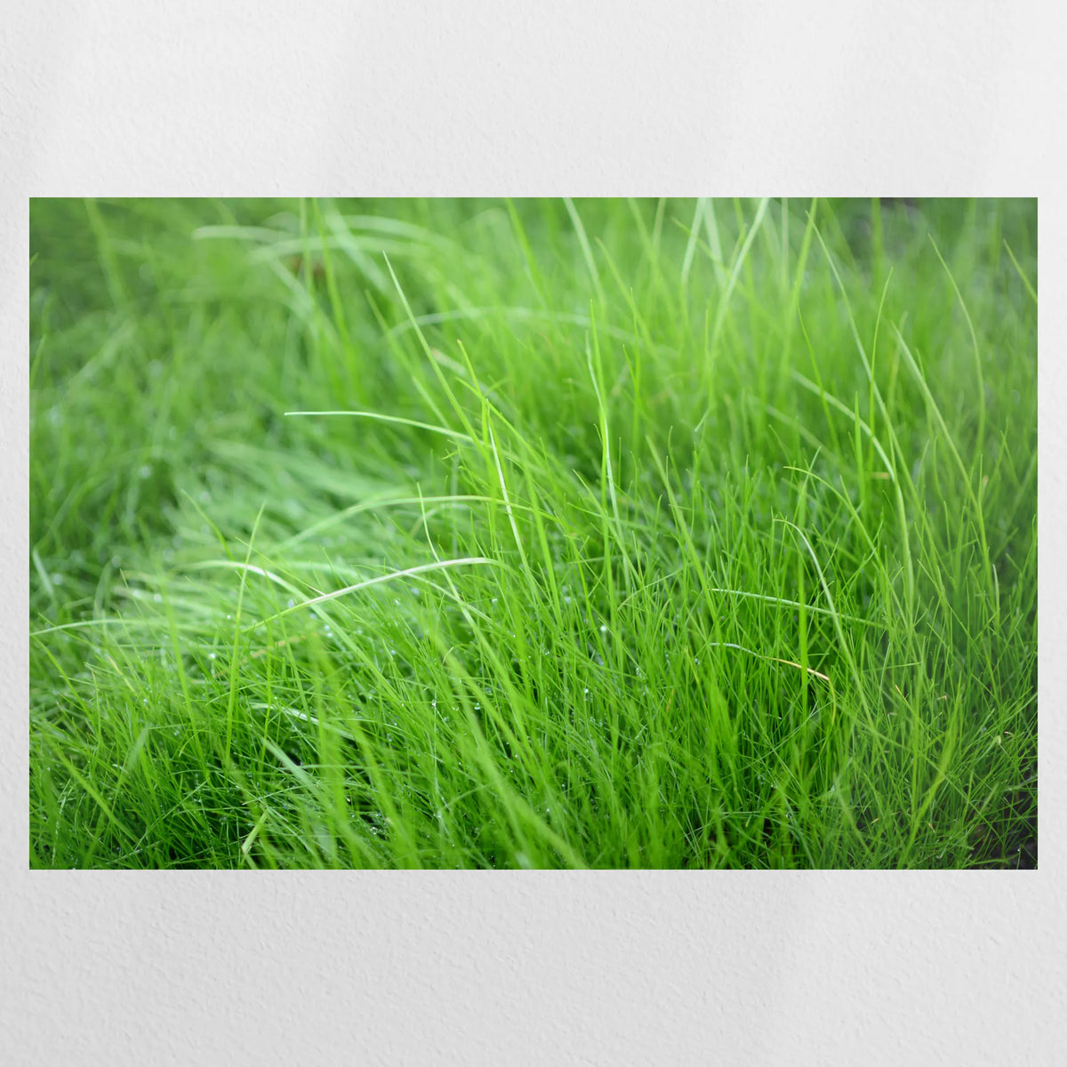 PO-090W060