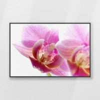 PB-093W062