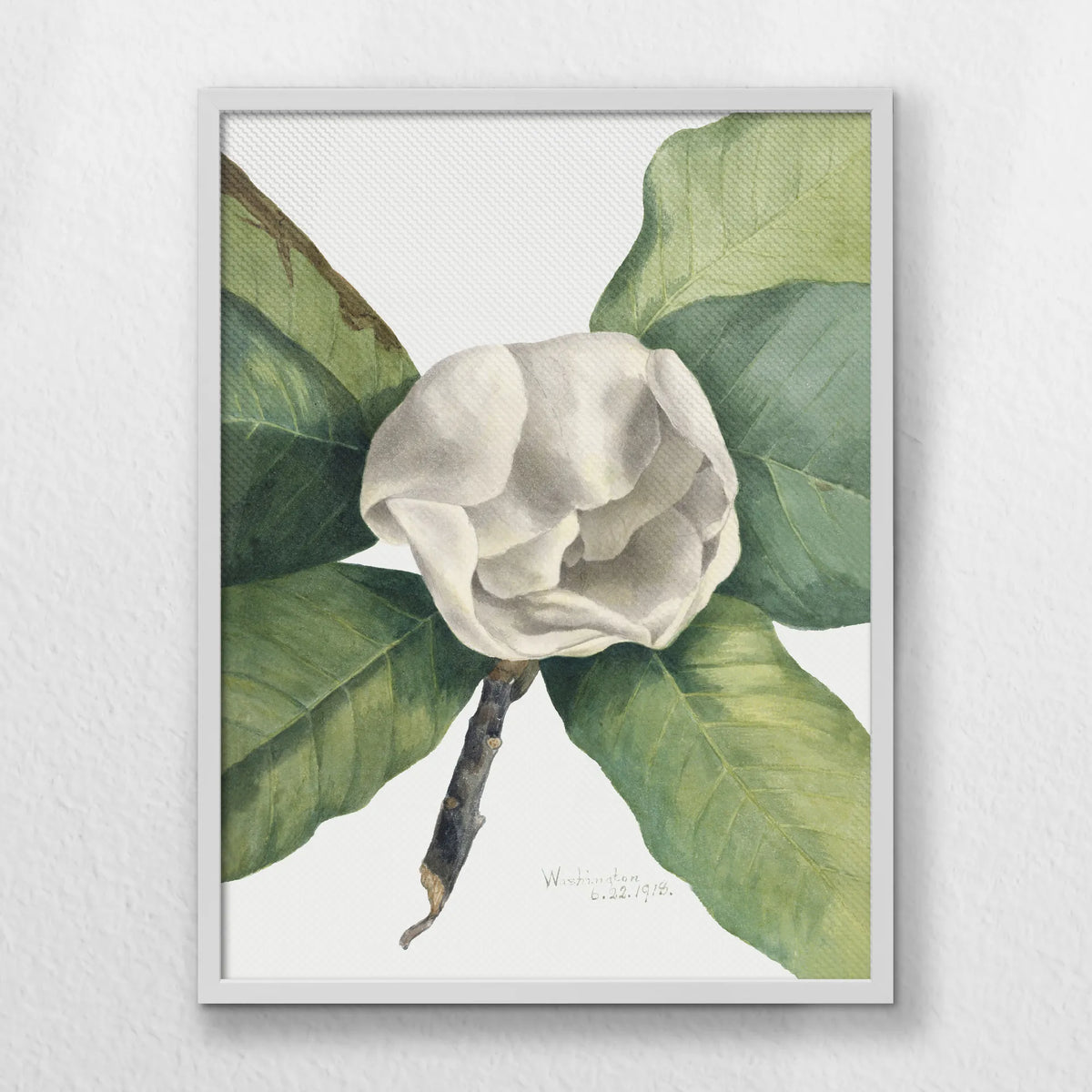LWW060W080