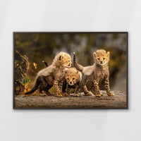 LWN120W080