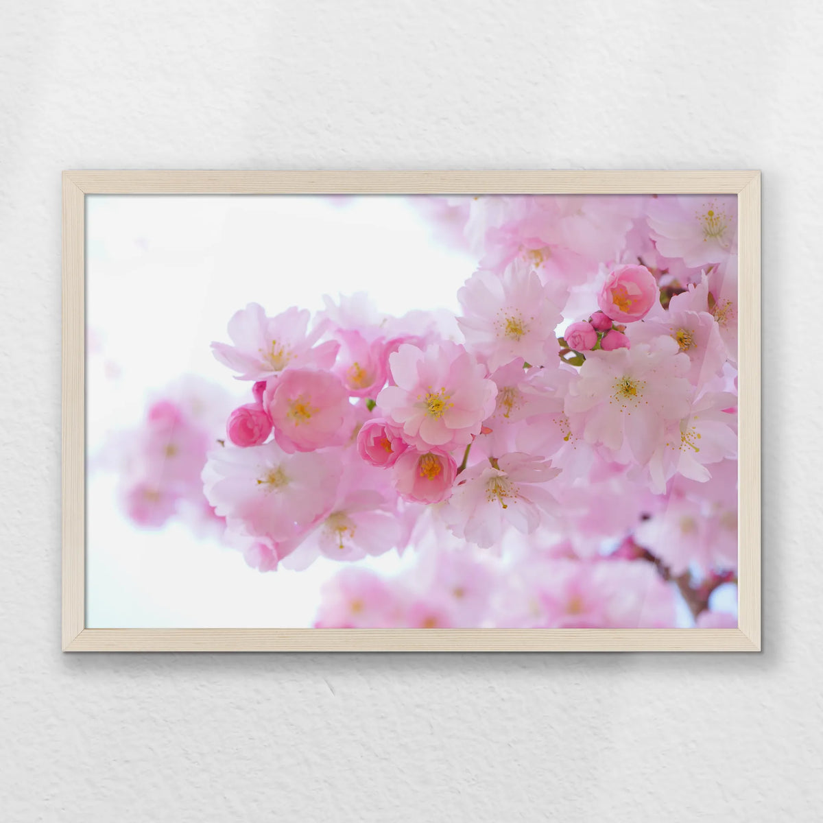 PN-060W040