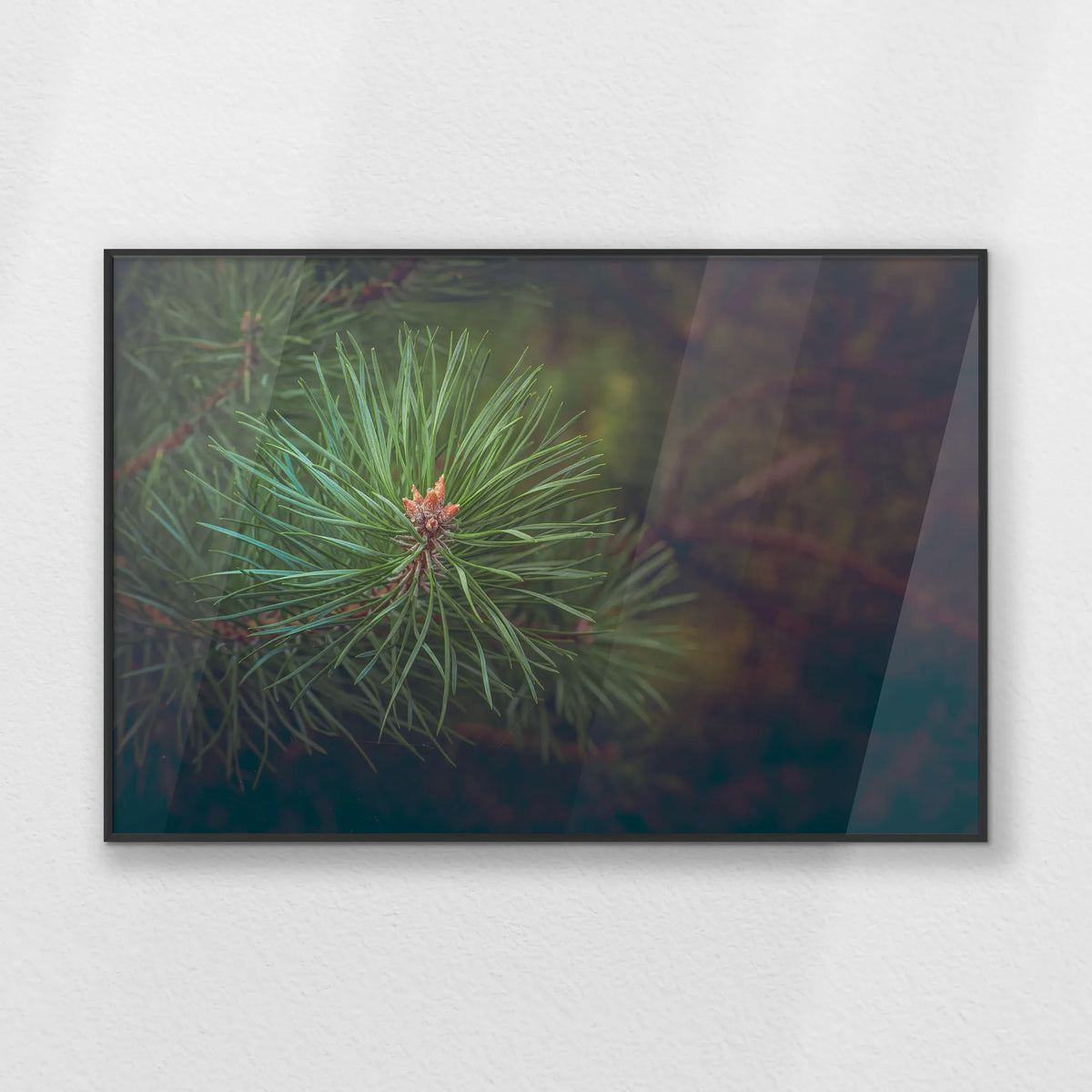 PB-093W062