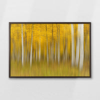 LWN100W070