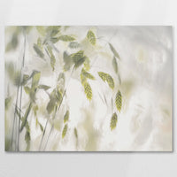 AC-080W060