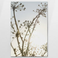 AC-080W120