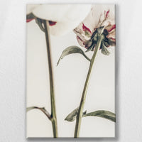 LW-050W075