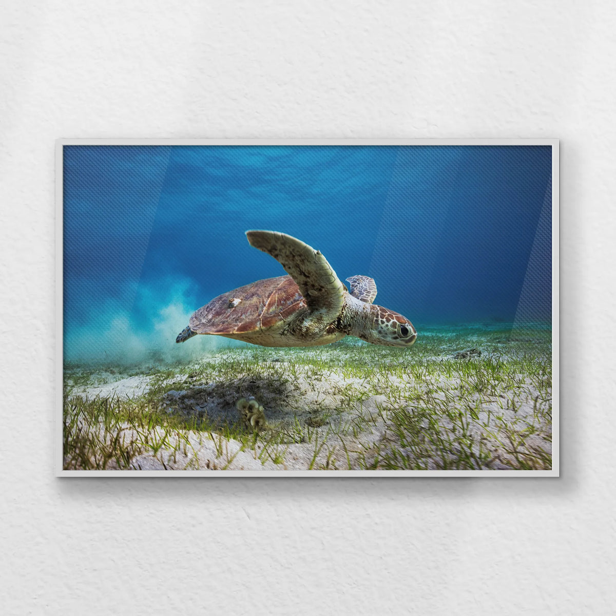 LWW120W080