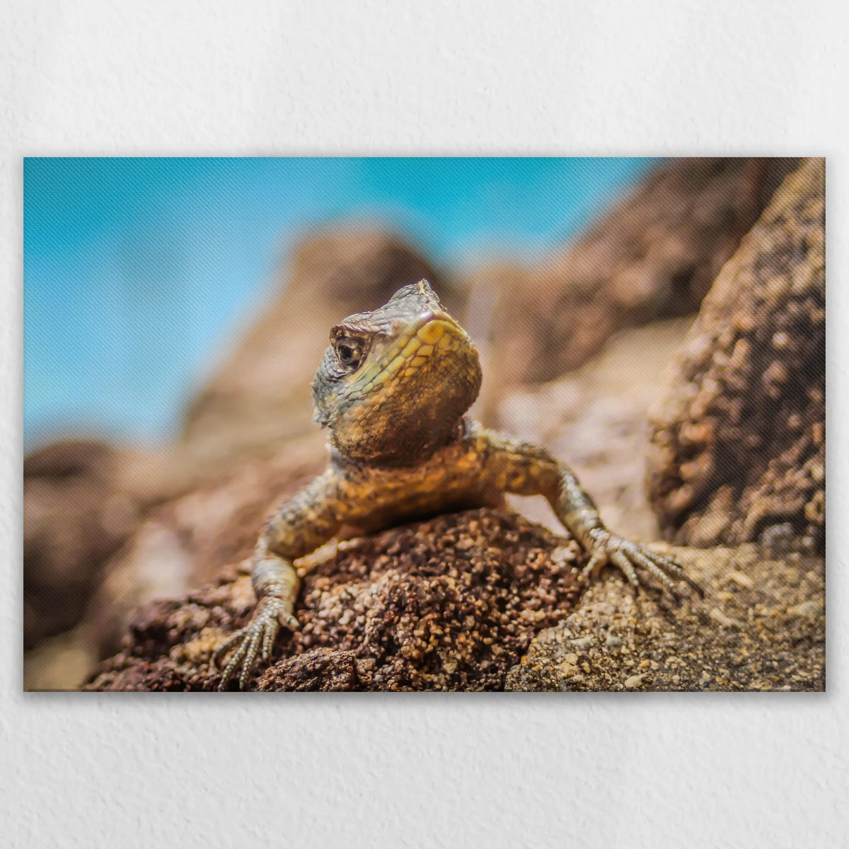 LW-120W080