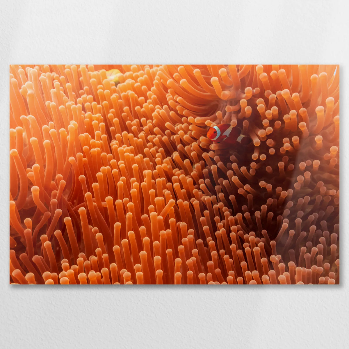 AL-075W050