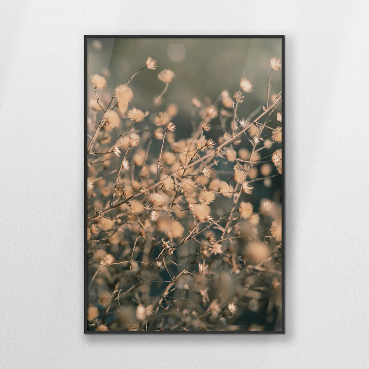 PB-062W093