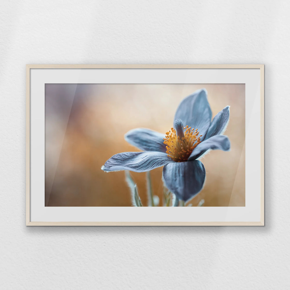 PNP100W070