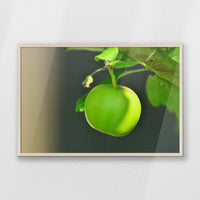PN-093W062