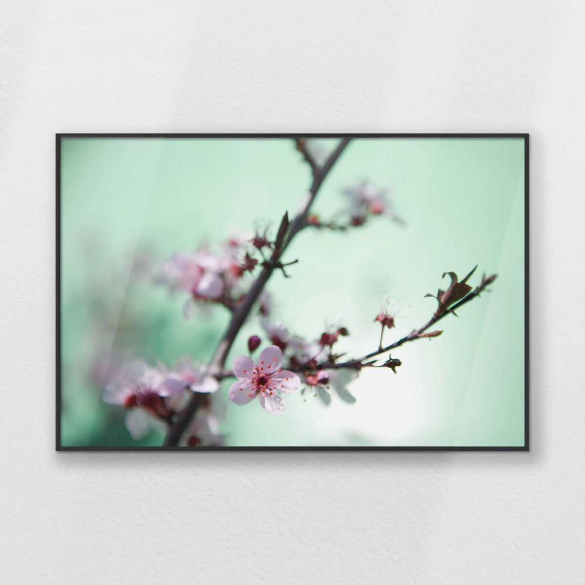 PB-093W062