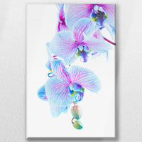 LW-050W075