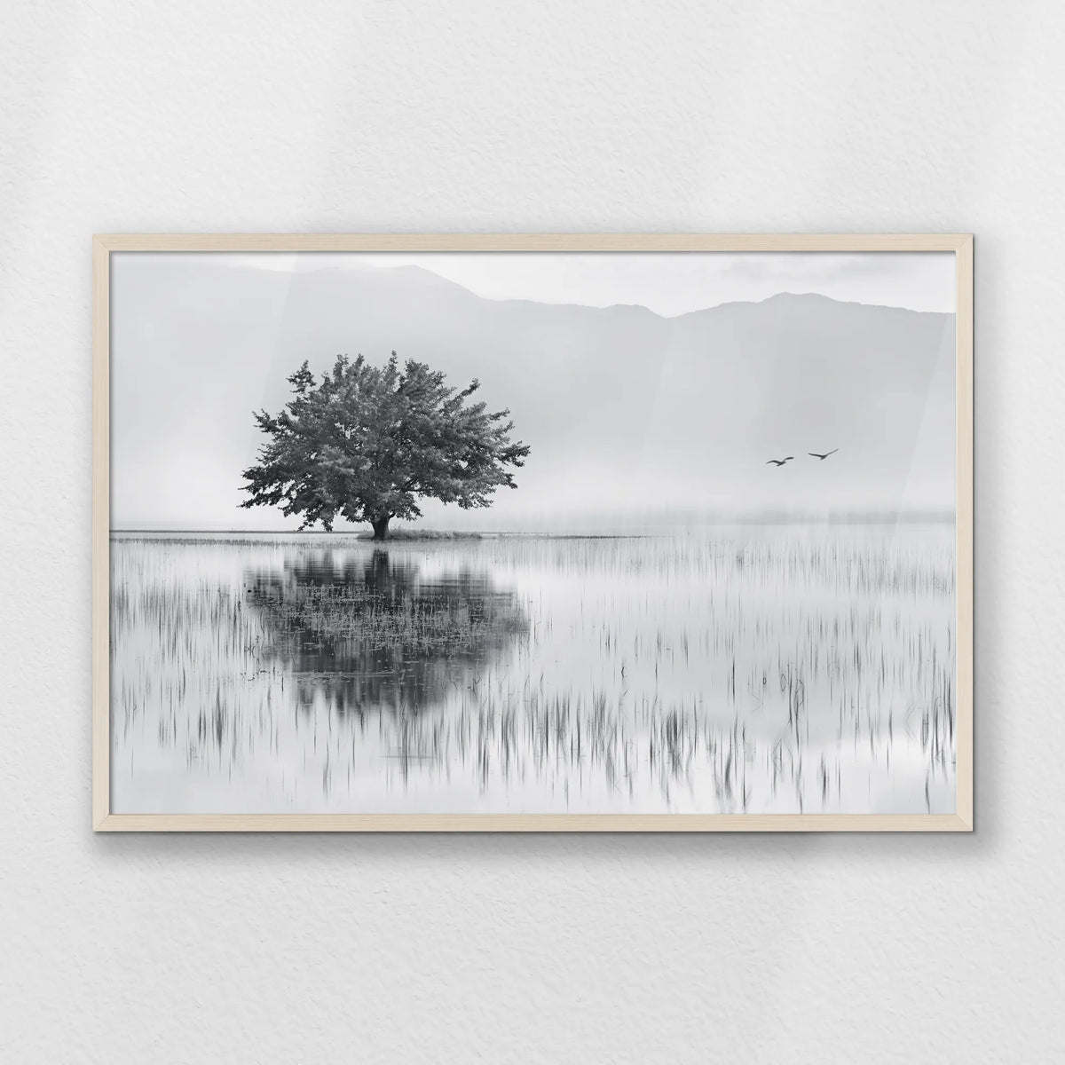 PN-093W062