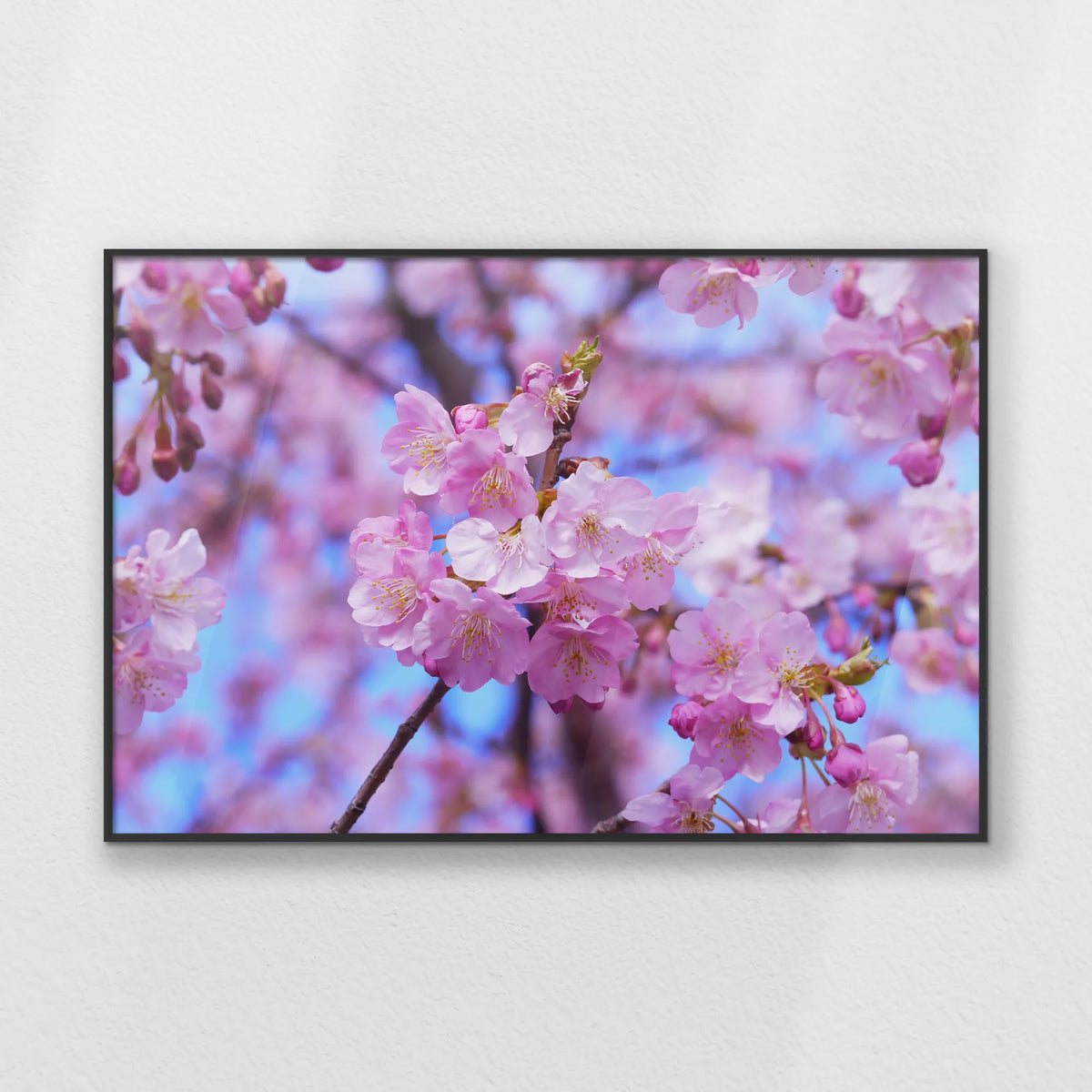 PB-093W062