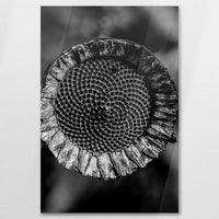 AC-060W090