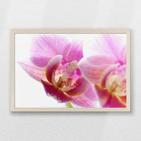PN-060W040