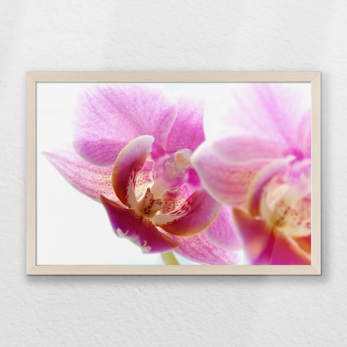 PN-060W040