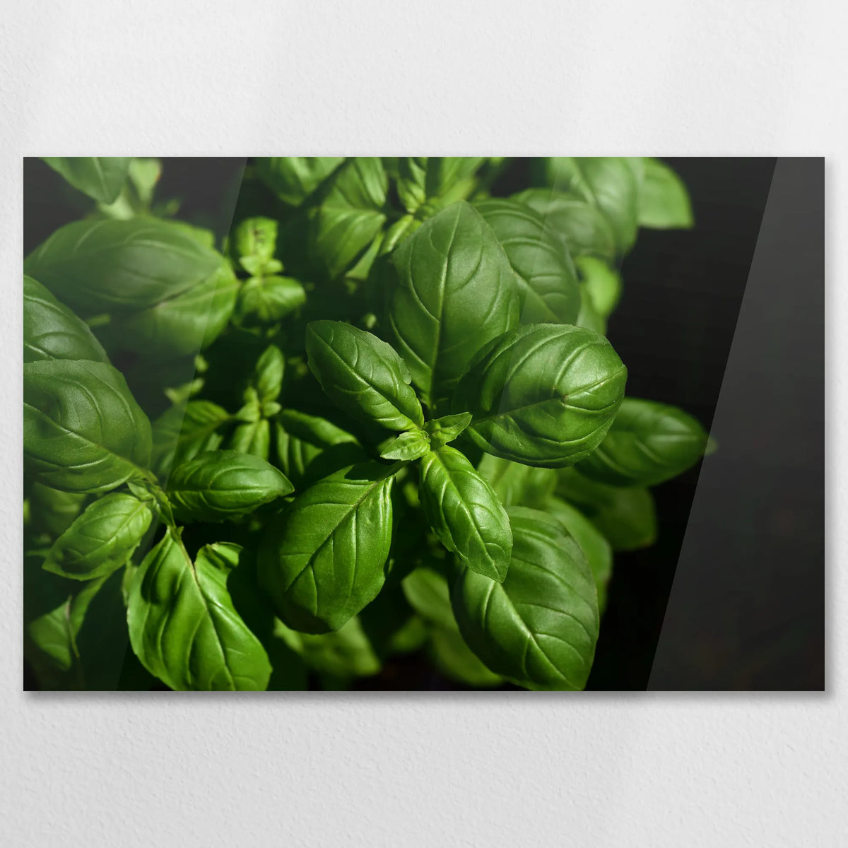 AC-075W050