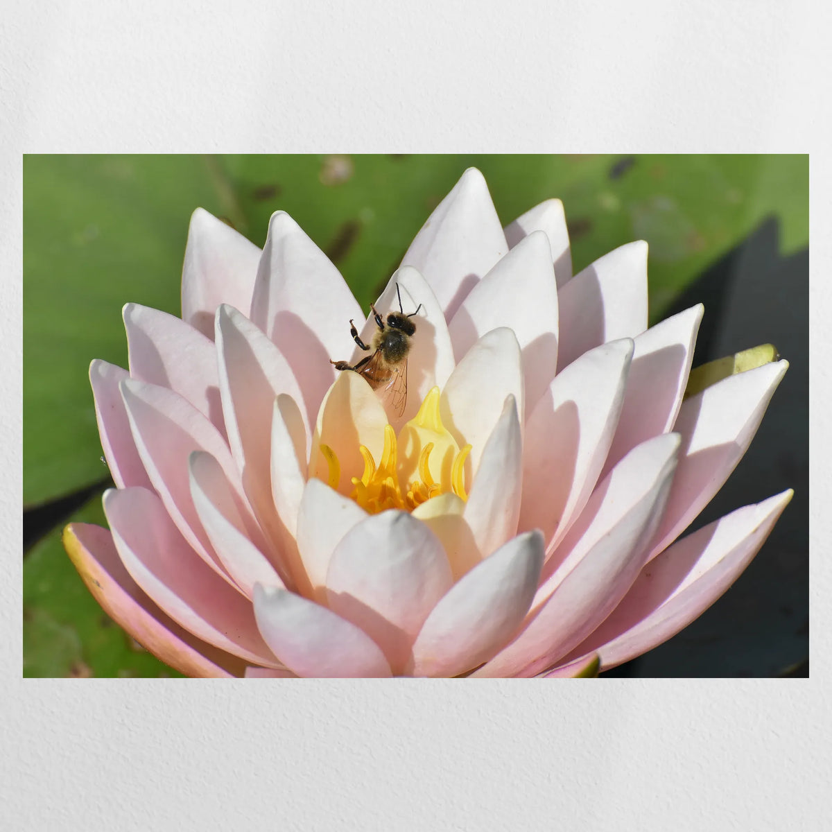 PO-120W080