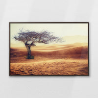 LWN120W080