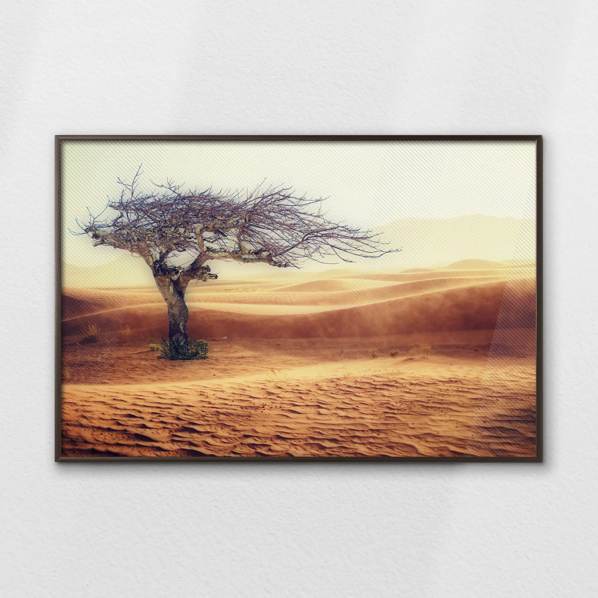 LWN120W080