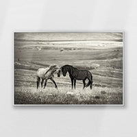 PS-093W062