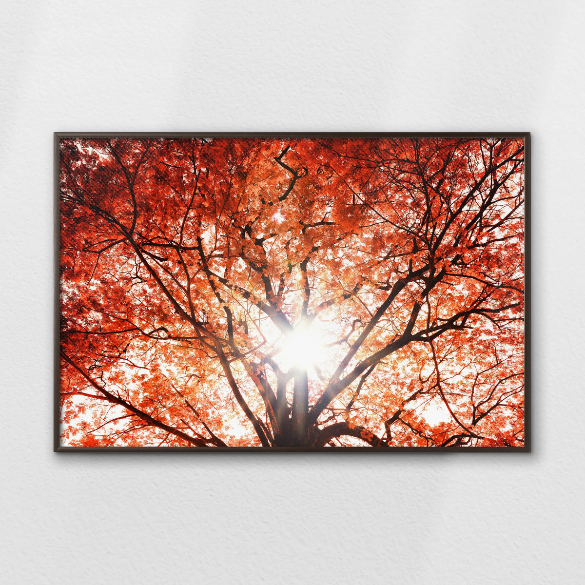 LWN120W080