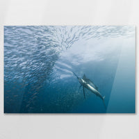 AC-075W050