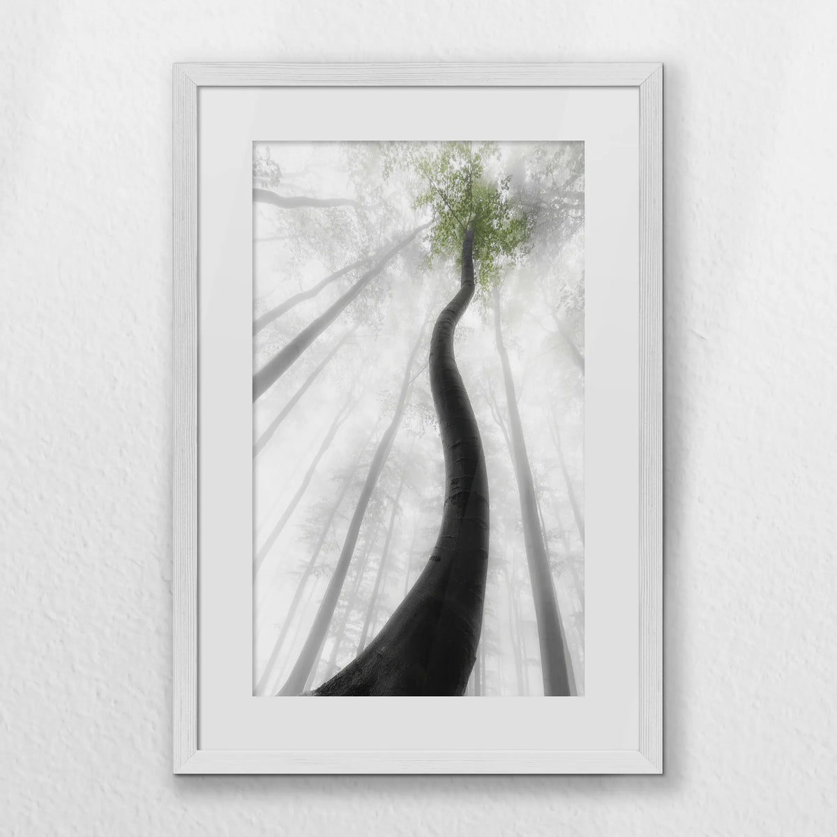 PWP040W060