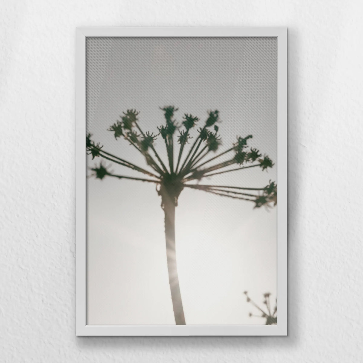 LWW040W060