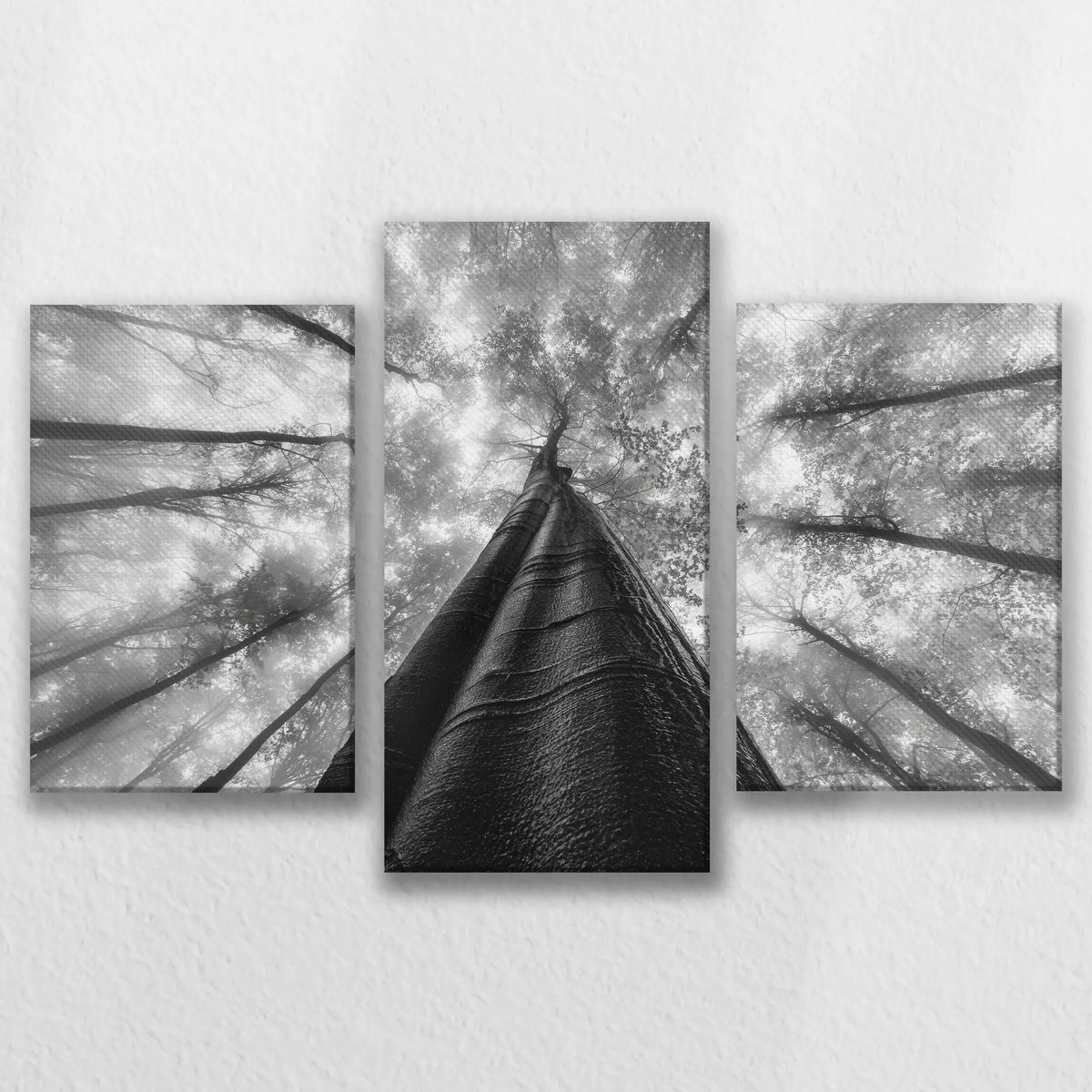 LW-090T060