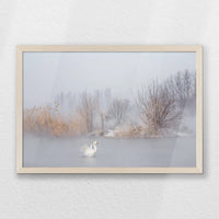 PN-060W040