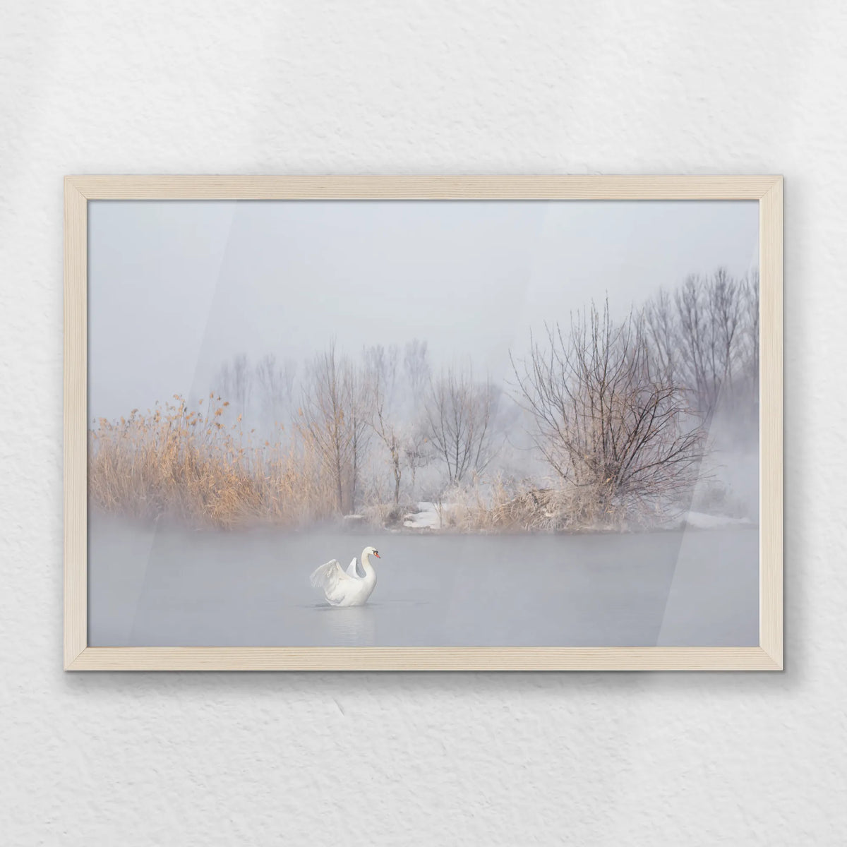 PN-060W040