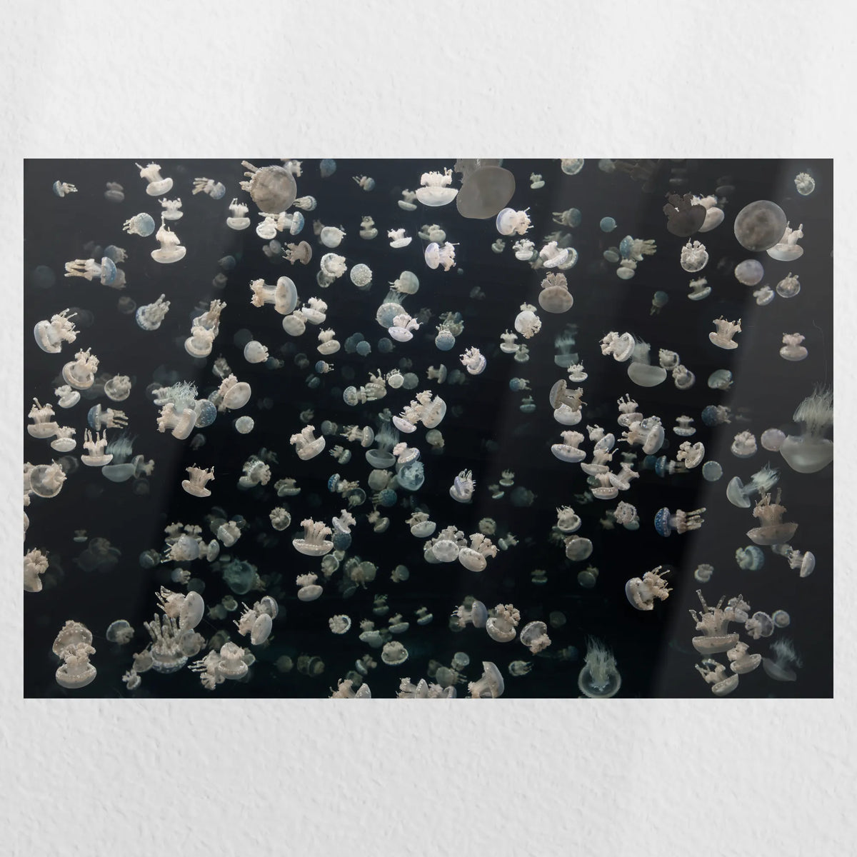 PO-045W030