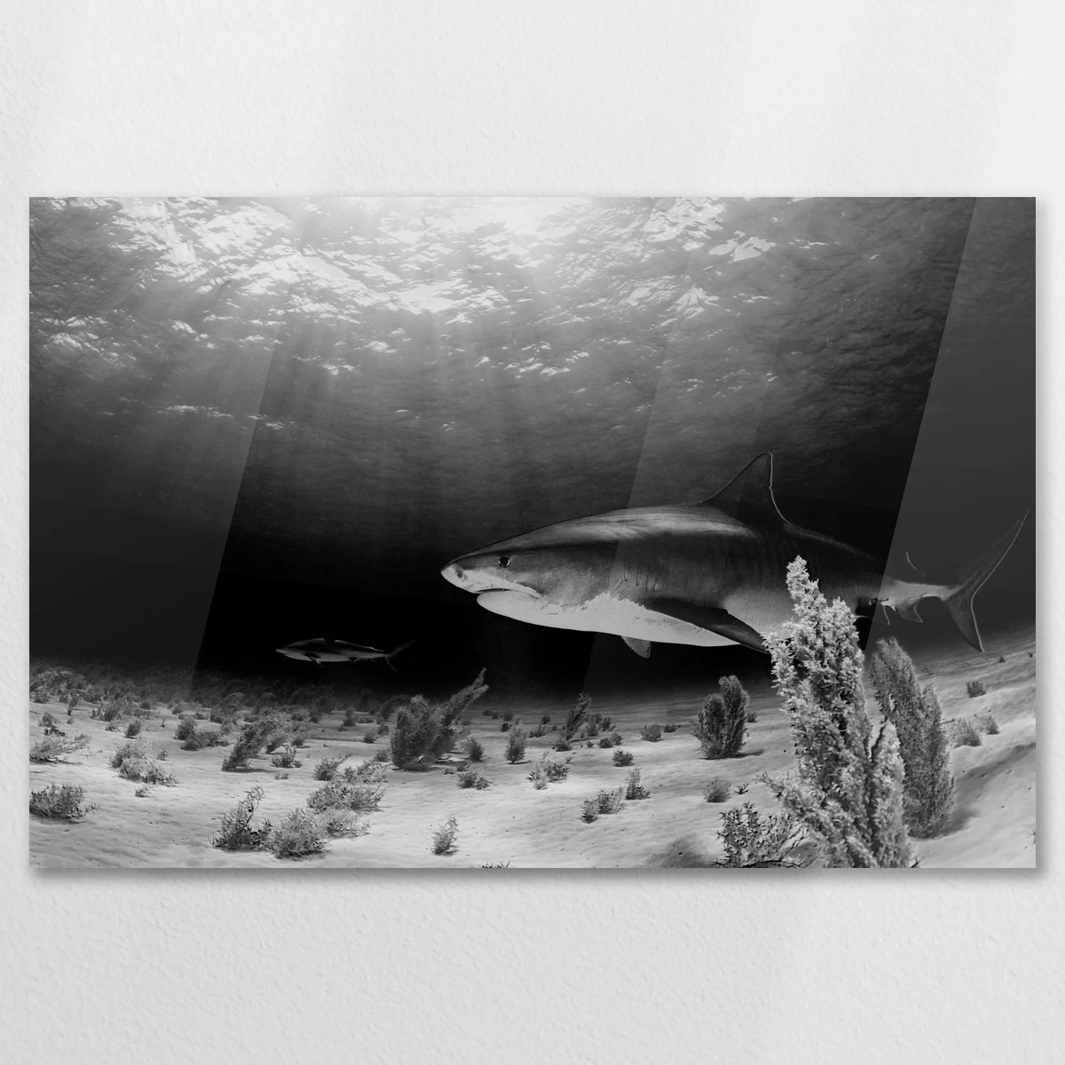AC-075W050