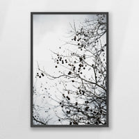 PK-062W093