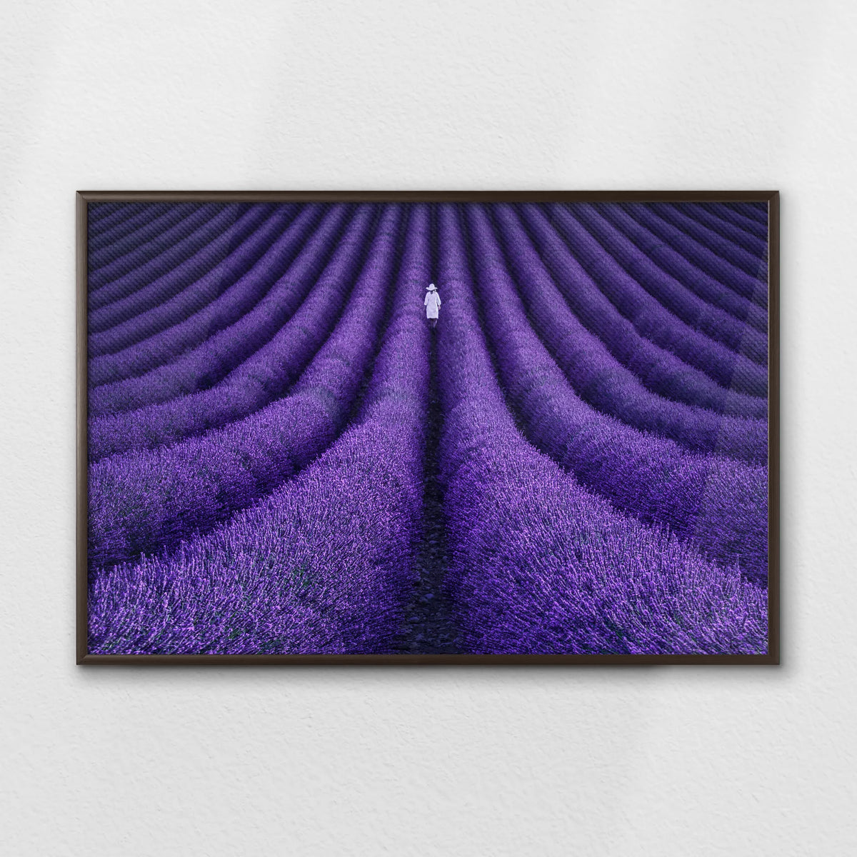 LWN100W070