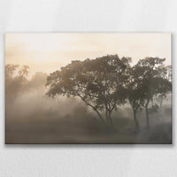 LW-075W050