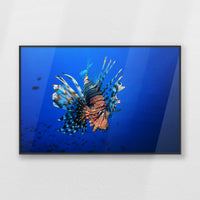 PB-093W062