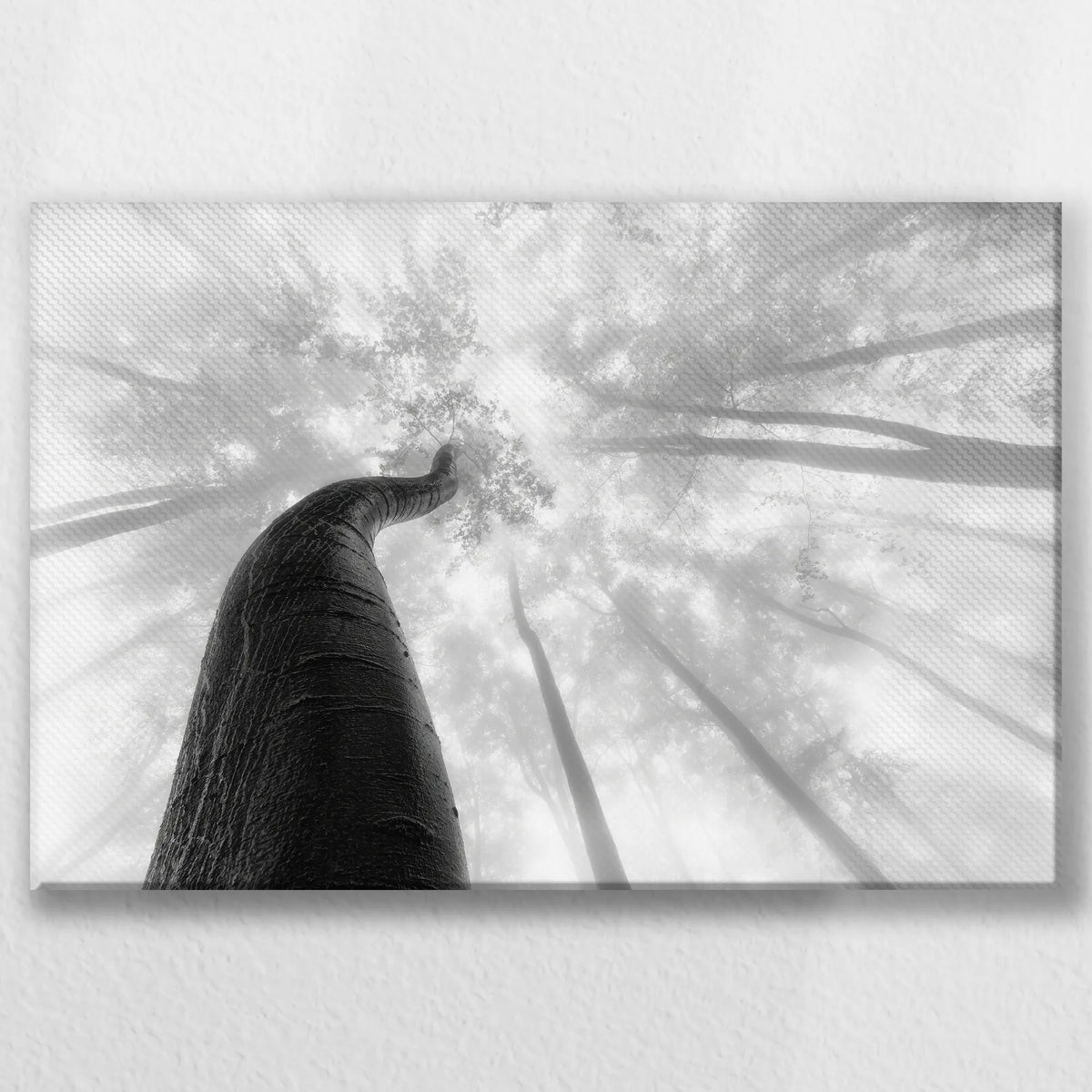 LW-045W030